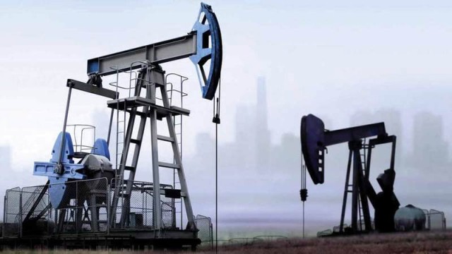 Oil
