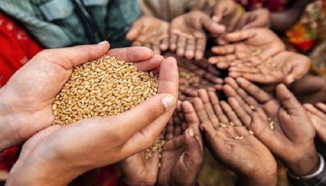 Germany accuses Russia of "using hunger as a weapon and taking the whole world hostage"