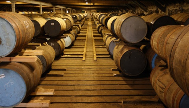 Moderna's statements bring down oil prices