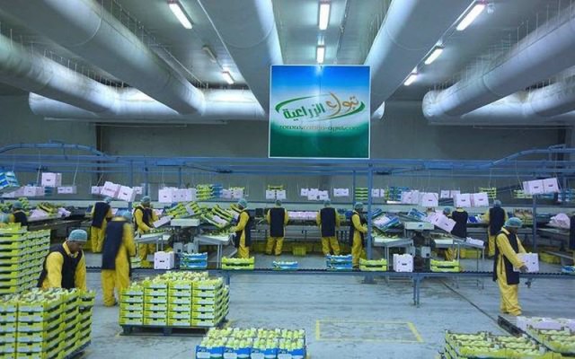 The Capital Market Authority agrees to reduce the capital of "Tabuk Agriculture"