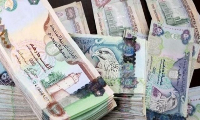 شركات إماراتية بـ"النفق المظلم" بعد ارتفاع خسائرها المتراكمة