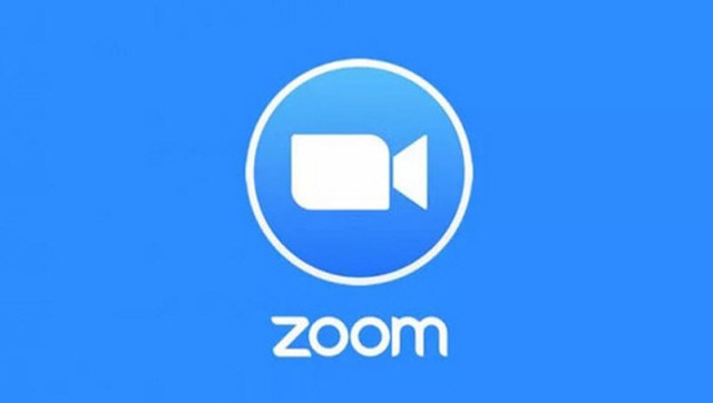 $ 633.5 million in first-half Zoom revenue