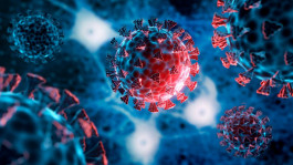 حركة السفر تتدهور .. وفرض قيـود كورونا مجددًا 