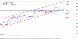 Gold continues to climb