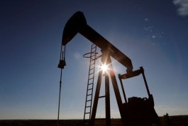 Oil prices steady near two-month high