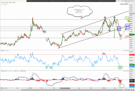 Ras Al Khaimah Real Estate share