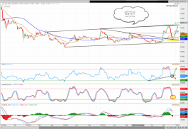 Salama Insurance share