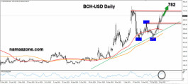 Petition Cash is preparing to register the highest levels in 3 years