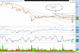 Alhokair group share No. 1820 in the Saudi market
