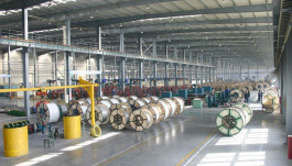 "Wires" profits rise 49.5% in the first quarter