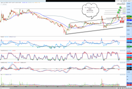 سهم اسمنت الشماليه رقم3004