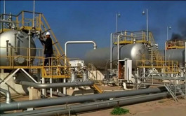 أرباح المتقدمة للبتروكيماويات ترتفع 6% في 2019