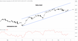 Bank of America - November 11