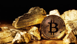 Gemini exchange co-founder: "Bitcoin is better than gold itself"