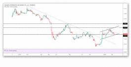 سهم سلامة وعلامات الصعود