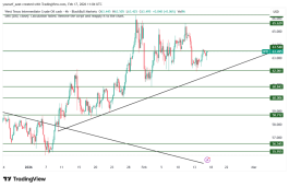 OIL - 17 فبراير 2026