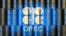 Minister: OPEC+ may extend oil cuts at its meeting on December 1