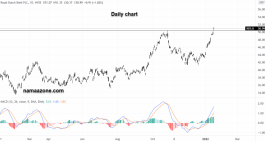 Royal Dutch Shell Stock - January 18