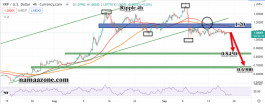 Ripple September 19