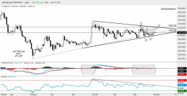 DFM Technical Report - 7 January