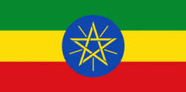 شركات الاتصالات تتنافس على رخصتي تشغيل بإثيوبيا