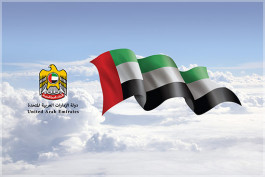 67.5 مليار درهم فائض حكومة الإمارات خلال 2018