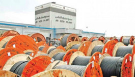 61.8 million riyals, Saudi cable losses in 2019