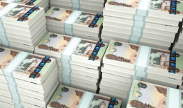 Governmental shareholding companies in the UAE earn 149.8 billion dirhams in 2019