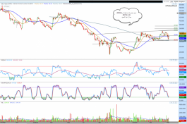 سهم مجموعه صافولا رقم2050فى السوق السعودى