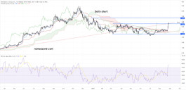 Destination XL Group Inc. stock Common Stock (DXLG) - August 29th