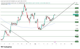 OIL - 18 اغسطس 2026