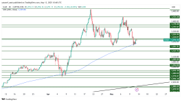 GOLD - 13 مايو 2025