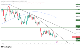 GOLD - 8 اكتوبر 2026