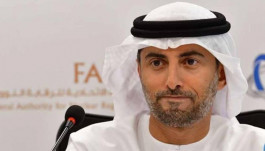 الإمارات تنفي تخفيض رسوم توصيل الكهرباء للمواطنين في الوقت الحالي