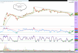 Research and shopping No. 4210 in the Saudi market