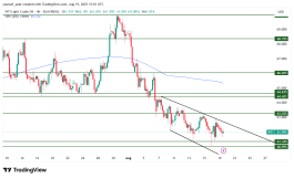 OIL - 19 أغسطس 2025