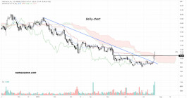 VITAL FARMS, INC (VITL) Stock - July 22
