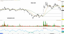 Sasco (4050) - May 12