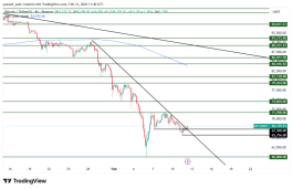 BTC - 12 فبراير 2026