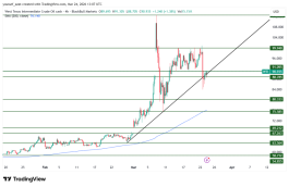 OIL - 24 مارس 2026