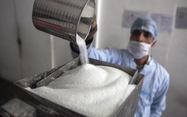 Moroccan sugar factory in Saudi Arabia