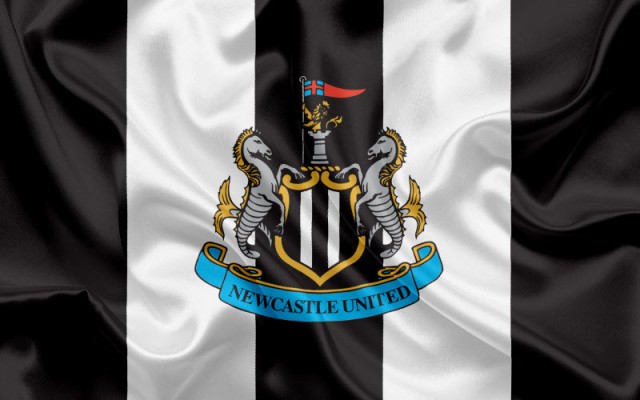 UAE buys Newcastle United