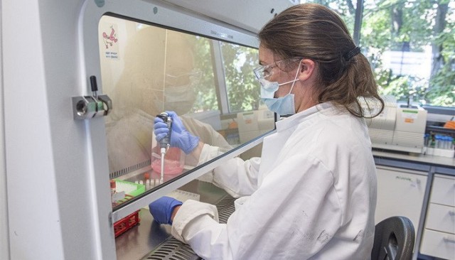 Pfizer and Biontech Sign Agreement with the US Government for Corona Vaccine