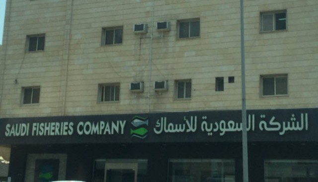 11 مليون ريال خسائر السعودية للأسماك بالربع الأول.. بارتفاع 19.1%