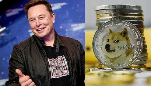Dogkin Digital currency falls after exciting remarks for Ellon Mask