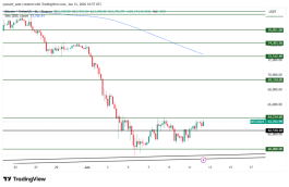 BTC - 12 يونيو 2026