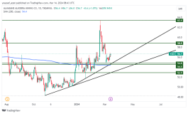 AMAC Stock - March 14, 2024