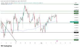 BTC - August 11, 2026