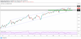 Technical Analysis of the S & P 500 Index
