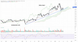 سهم بالو التو نيتوركس (PANW) - 08 يوليو